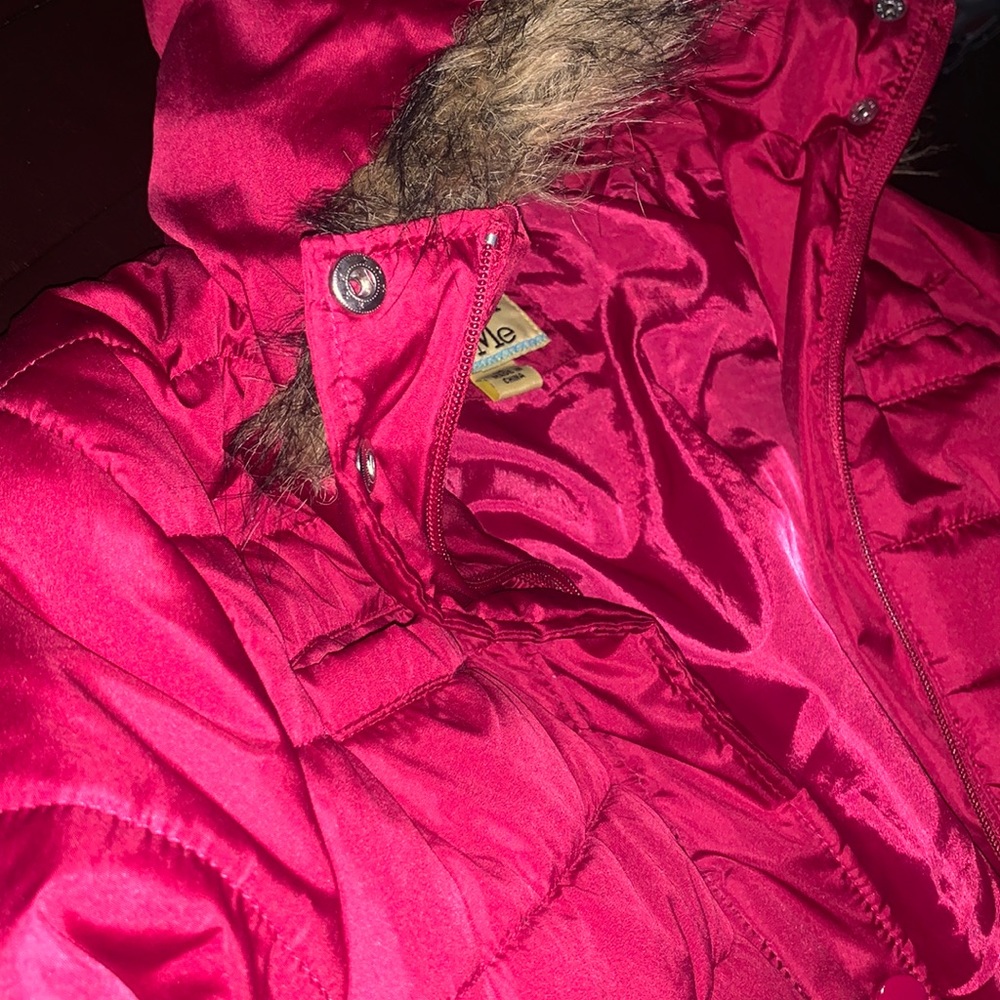 Winter Jacket - Picture 2 of 2